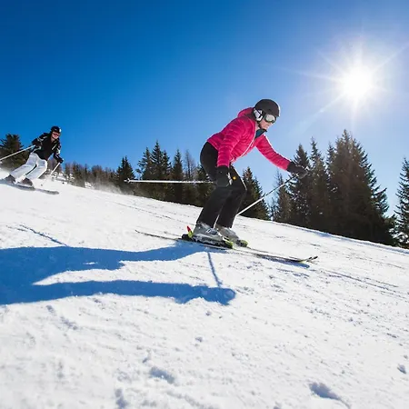 Resort Landal Arber Zwiesel